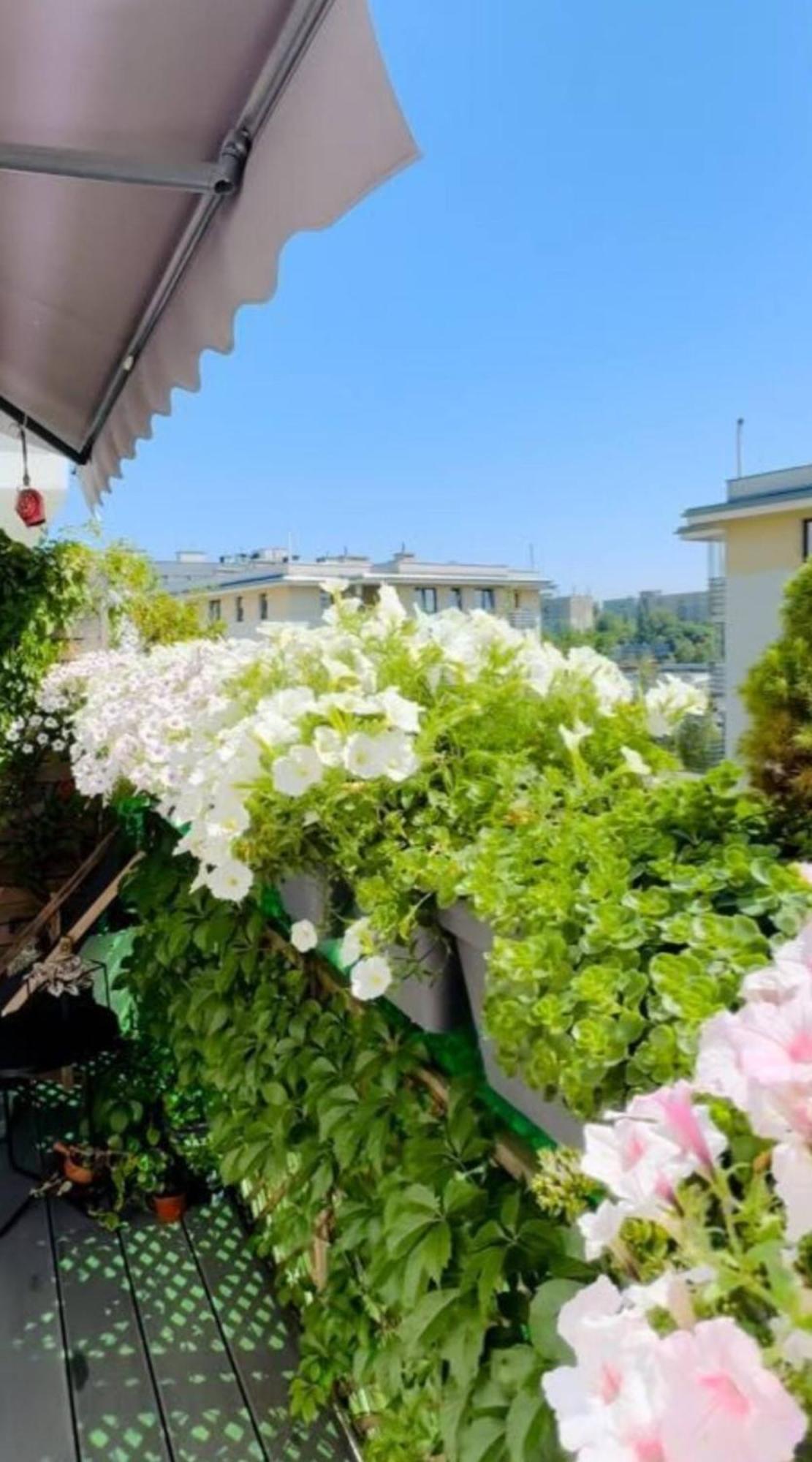 Shiraz Trio Apartament Βαρσοβία Εξωτερικό φωτογραφία
